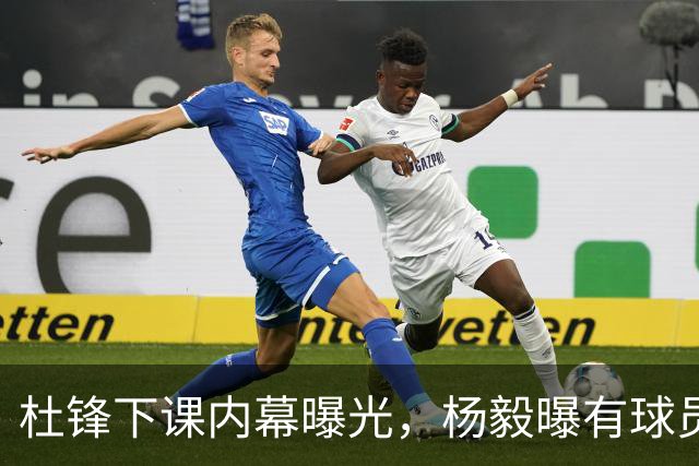 杜锋下课内幕曝光，杨毅曝有球员装病拒绝国家队，朱旭航离开新疆