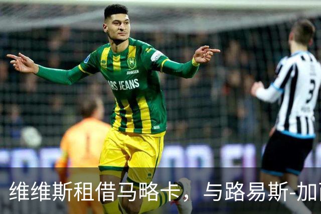 维维斯租借马略卡，与路易斯-加西亚重逢